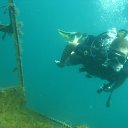 ���� �������, ��������, 53 ���� - ��������� 23 ������ 2017 � ������ ���� ����������