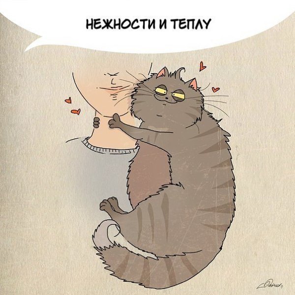 1 марта отмечается День кошек. Нам есть чему поучиться у шерстяных засранцев: - 7