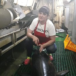 �������, �����������, 44 ����