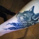 ���� Aleksey, �����-���������, 37 ��� - ��������� 1 ������� 2017 � ������ ���� ����������