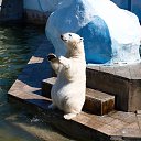 ���� ���� �����,,, �� ������� ������� �����...�