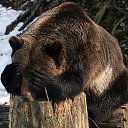 ���� ������, ���������, 47 ��� - ��������� 28 ������� 2017