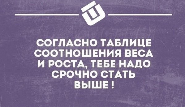 SportFeed - 5  2018  03:56