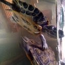 ���� �, ���� - ��������� 7 ������� 2018 � ������ ���� ����������