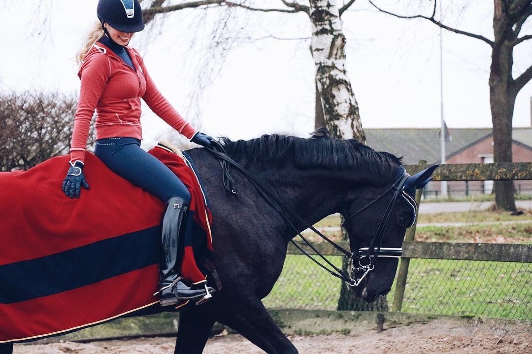  -   ! - 29  2017  03:42