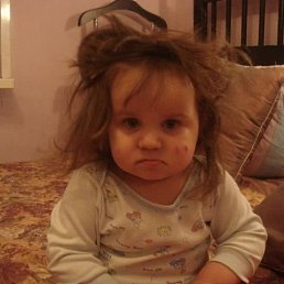 �������, �����-���������, 71 ���