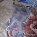 ���� 2 ������.. �� ������� ���� ����������