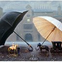 ���� ����, �������� - ��������� 15 ������� 2018 � ������ ������ ��������