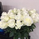 ���� ����, ������, 49 ��� - ��������� 19 ������ 2018 � ������ ������ ��������