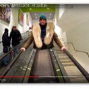 ���� ���������, ������� - ��������� 11 ����� 2018 � ������ ���� ����������