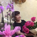 ���� �����, ��������, 63 ���� - ��������� 21 ��� 2018 � ������ ���� ����������