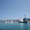  , , 53  -  28  2018    2018