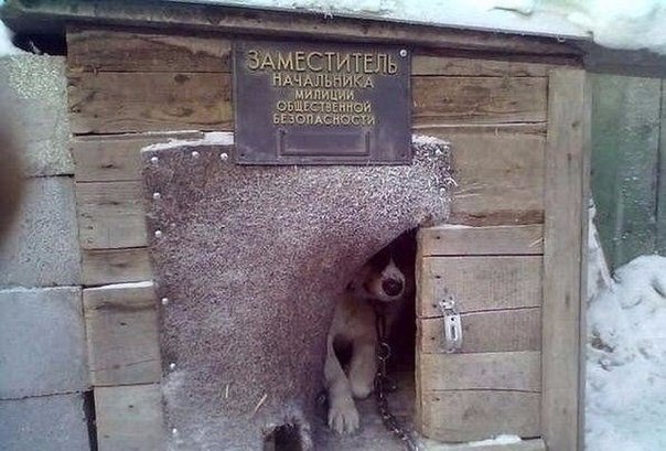 ����� ���� ��������, �� ��� ������ ���������