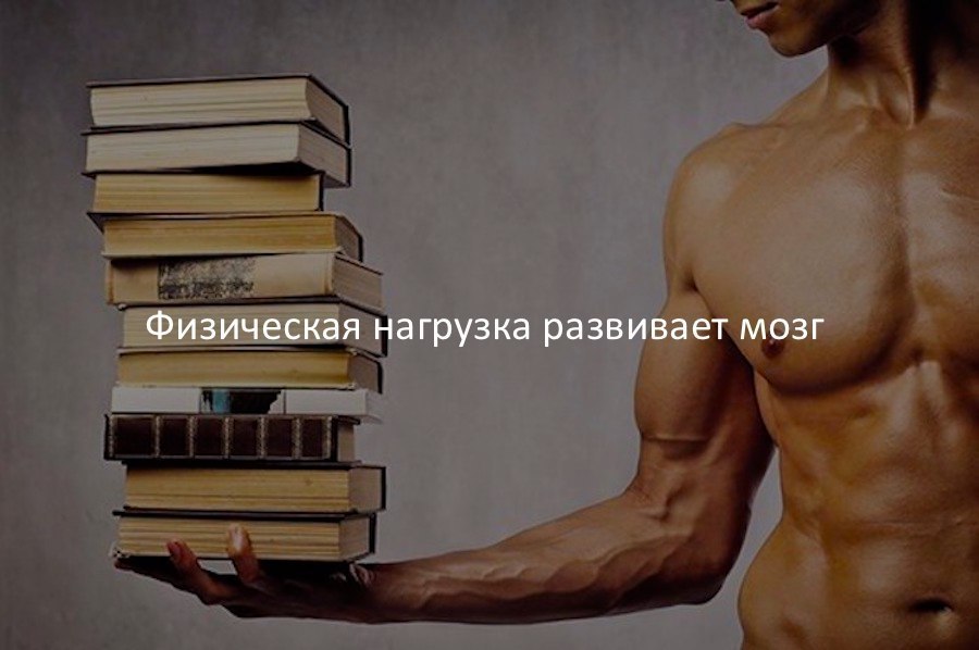 SportFeed - 26  2017  05:52