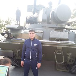 �����, ����-���������, 44 ����