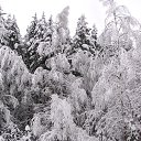 ���� ������, ������, 71 ��� - ��������� 7 ������� 2018 � ������ ���������� ������ ��ѻ