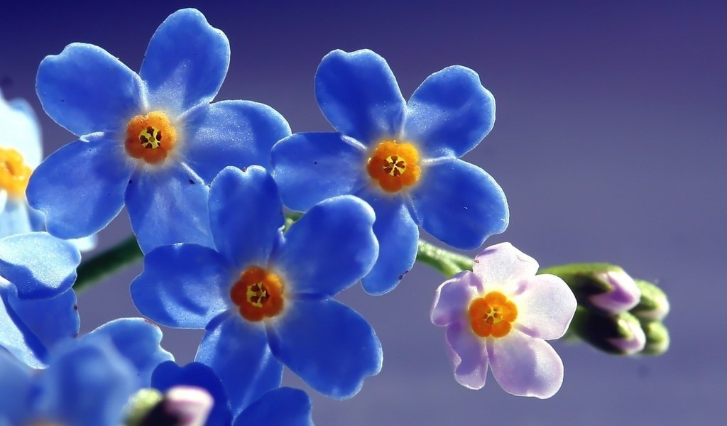 ,  ,    ,   ,  ,  ..."() - 2