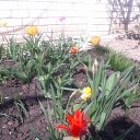 ���� Valentina, ��������������, 60 ��� - ��������� 22 ������ 2018 � ������ ������ ��������