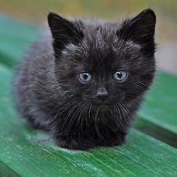 ���� ������, ��������, 39 ��� - ��������� 30 ������ 2018