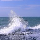 ���� ��������, ������ - ��������� 15 ������� 2017 � ������ ���� ����������