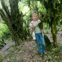 �����, �������, 67 ���