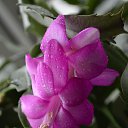 ���� �������, ���������, 37 ��� - ��������� 9 ���� 2018 � ������ ������������ � ���������������
