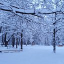 ���� ����, ������ - ��������� 7 ������� 2018 � ������ ������ ��������