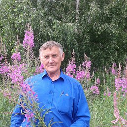 ���� ������� �������, 