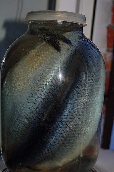 ���� ����� ��� ����� �� �������� ������� �������� ��� ������� � ��������, �������� ������� ������� ... - 4