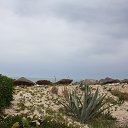  , -, 54  -  11  2018    