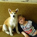 ���� ���������, ������������, 44 ���� - ��������� 14 ������� 2018