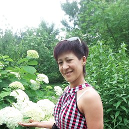 ���� ������, ��� - ��������� 11 ������ 2018