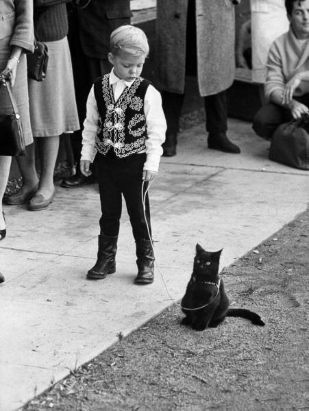 Котик со своим хозяином в очереди на кастинг черных котов, 1961