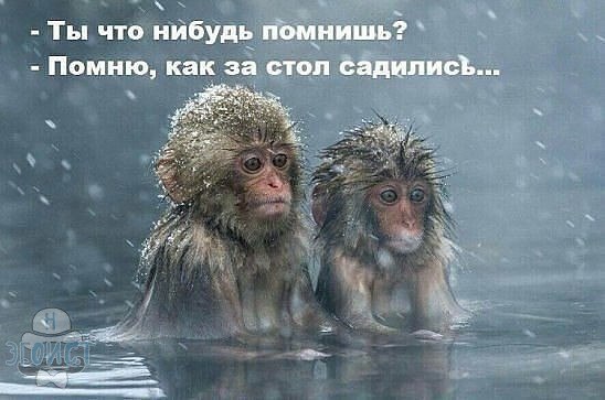 ��� ������������ � ����������� ���������� 6 ��� �����