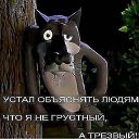 ���� ������, ������, 49 ��� - ��������� 12 ������ 2018 � ������ ���� ����������