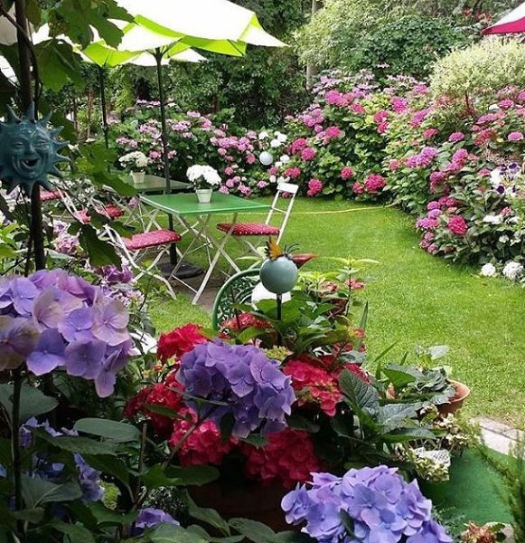      ...      - ...     ... - 4