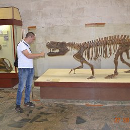 ���� �����, ������, 47 ��� - ��������� 3 ��� 2018