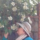 ���� �������, ����������� - ��������� 21 ��� 2018 � ������ ���� ����������