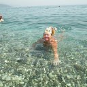 ���� ������� ������, ������ �����, 72 ���� - ��������� 4 ���� 2018 � ������ ������� 2018�