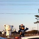 ���� �e� �, ������, 55 ��� - ��������� 18 ������ 2018 � ������ ������ ��������