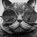 ���� ����� ���������, ������ - ��������� 3 ����� 2018 � ������ ������ ��������