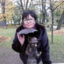 ���� ���� ��������, �����-���������, 72 ���� - ��������� 26 ����� 2018 � ������ ���� ����������