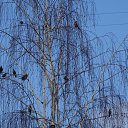 ���� ������, ����������� - ��������� 13 ������ 2018 � ������ ���� ����������