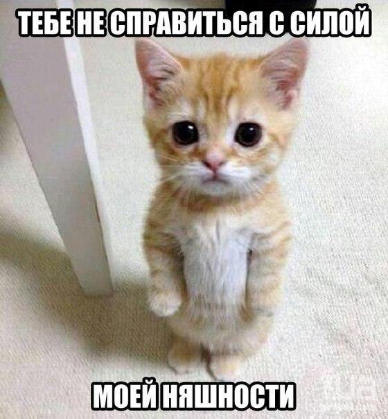   :3 - 11  2018  22:20