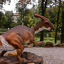 ���� ����, ����� - ��������� 30 ������ 2017 � ������ ���� ����������