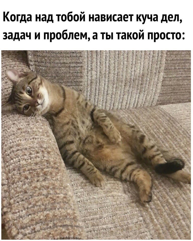   - 24  2018  03:01
