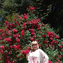 � ��������� ������������ ���� �� ������� ���� ����������