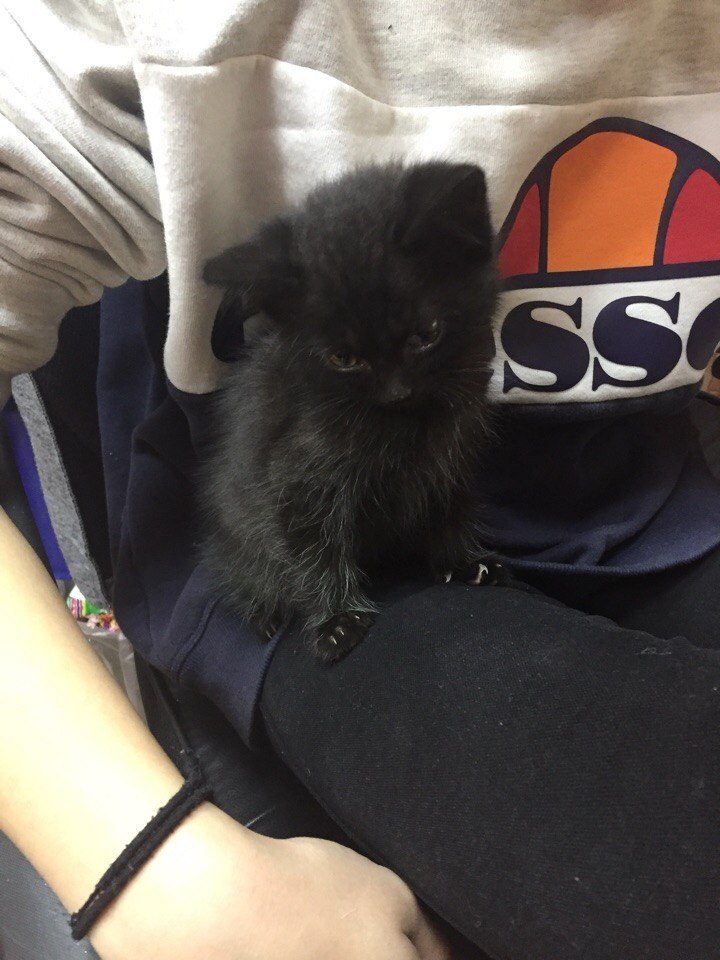 #_.          ..    ... - 2