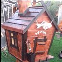 ���� �����, ������ - ��������� 7 ������� 2017 � ������ ������ ��������