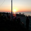 ���� ��������, ���������, 46 ��� - ��������� 14 ������� 2017 � ������ ���� ����������